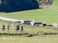 NH280922-2 - Horses arrive